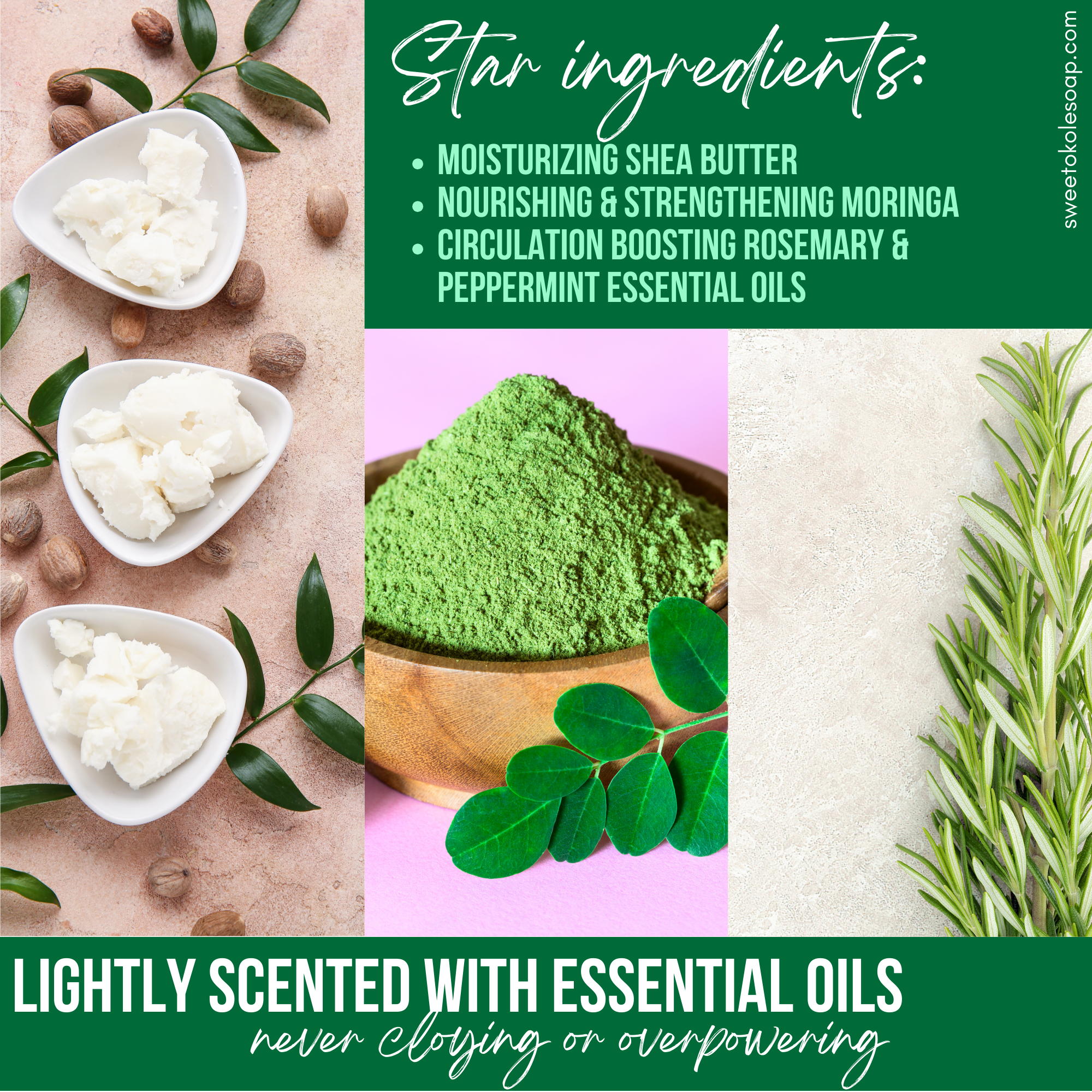 Non-Toxic Conditioner Bar w/ Rosemary, Mint & Moringa
